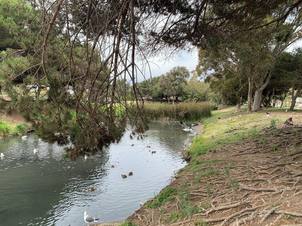 Walk to Bubbling Springs located next to condo complex
