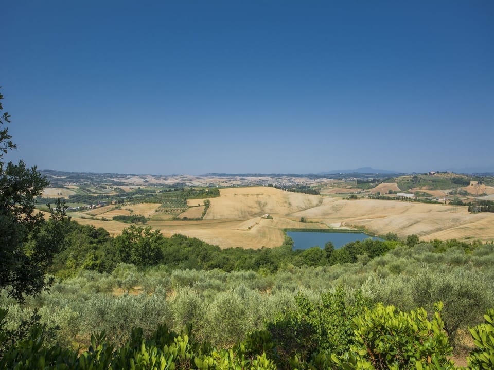 View from Holiday Home [summer]