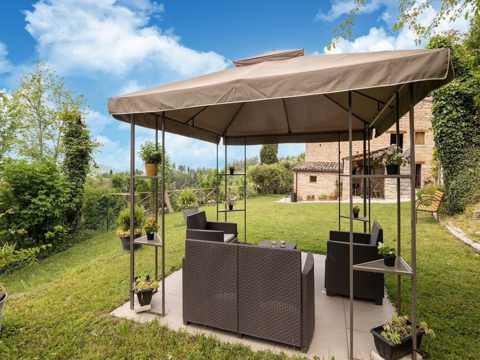 Garden [summer]