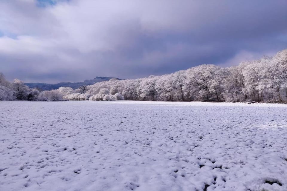 Region [winter] (>5 km)