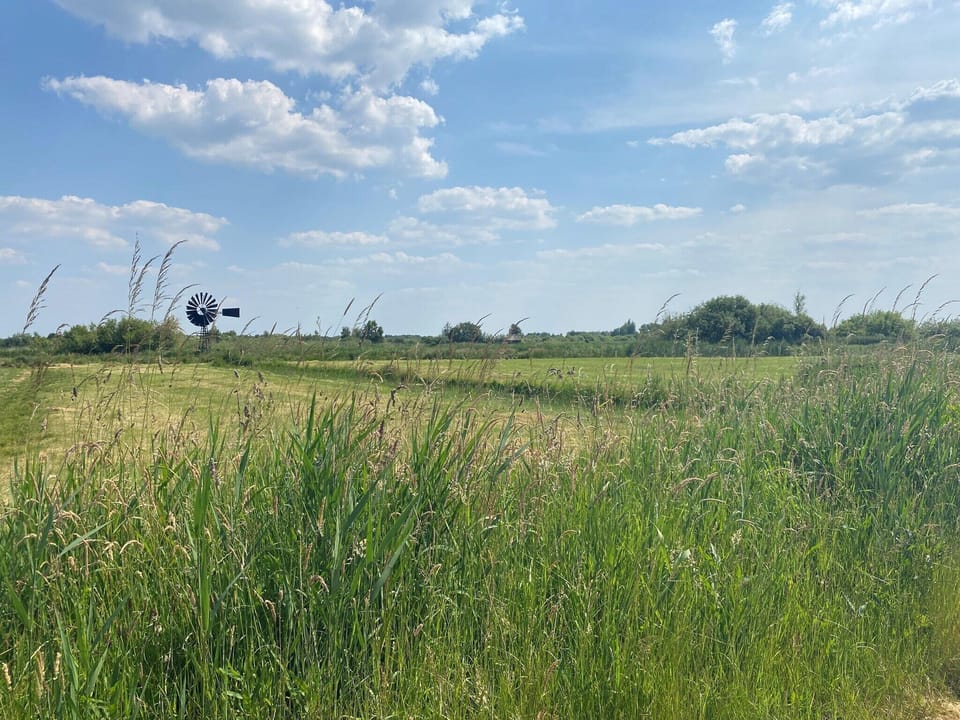 Immediate Surroundings [summer] (<1 km)