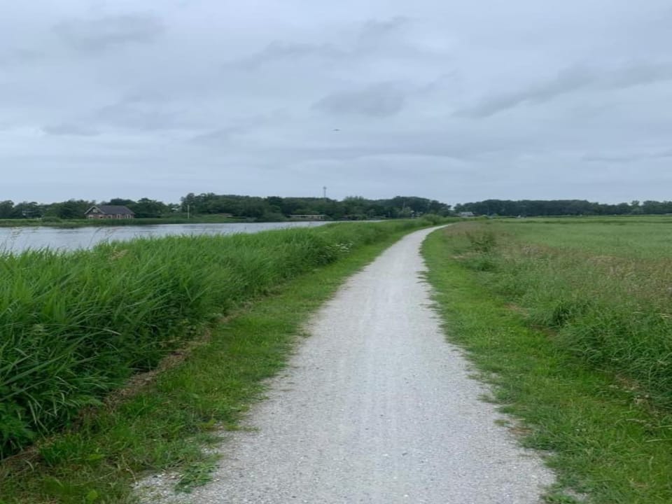 Region [summer] (>5 km)