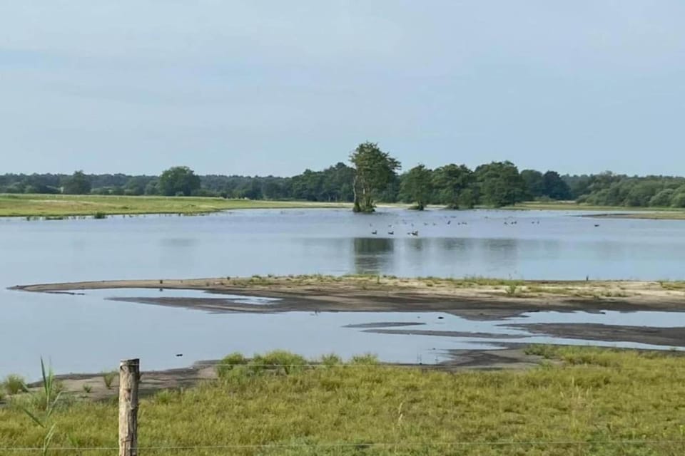 Surroundings [summer] (1-5 km)