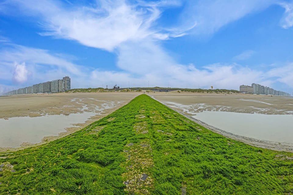 Surroundings [summer] (1-5 km)
