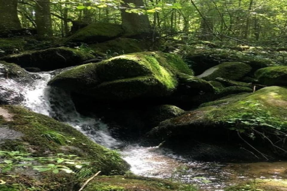 Surroundings [summer] (1-5 km)