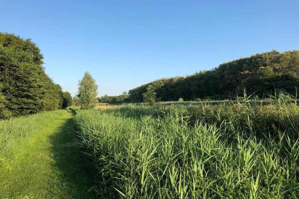 Region [summer] (>5 km)