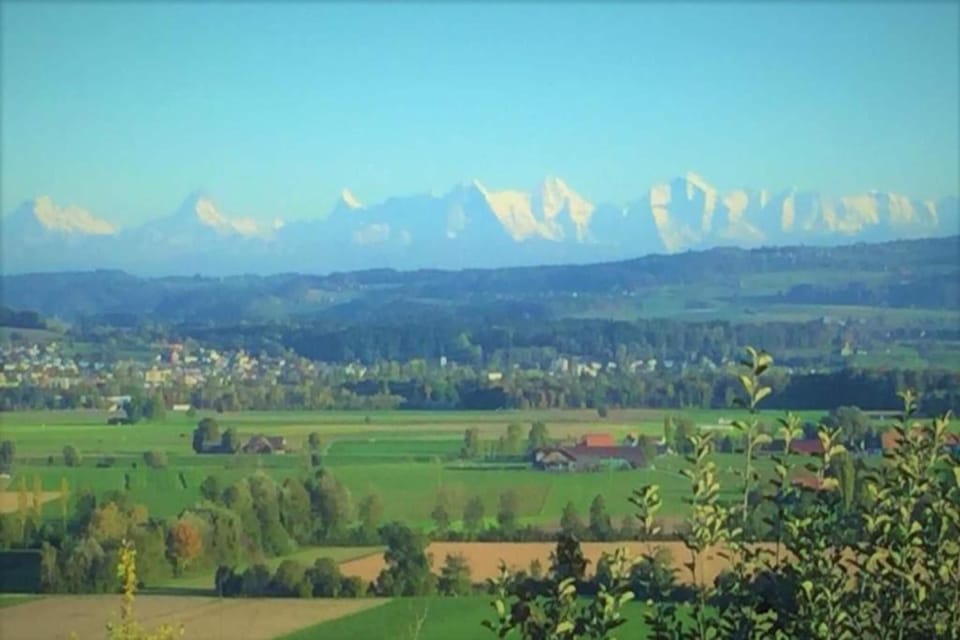 Region [summer] (>5 km)