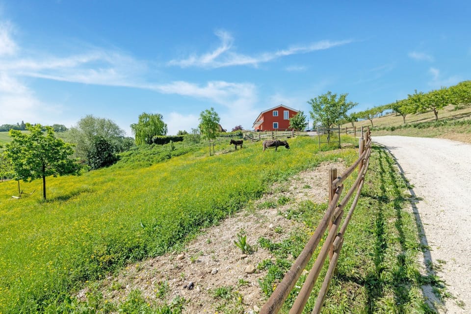 Surroundings [summer] (1-5 km)