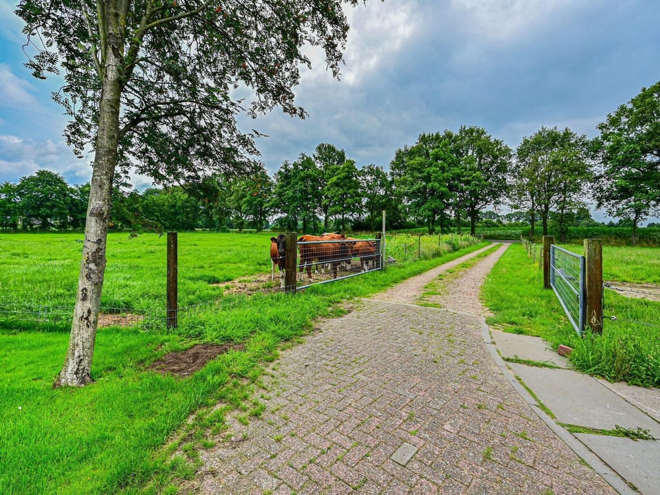 Immediate Surroundings [summer] (<1 km)