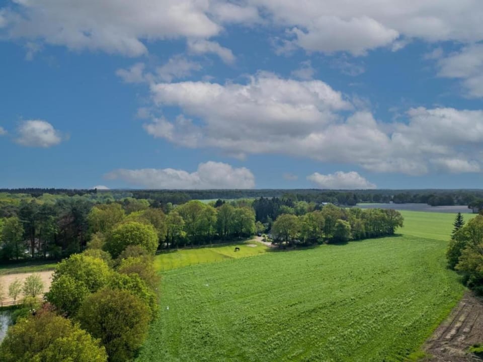Region [summer] (>5 km)