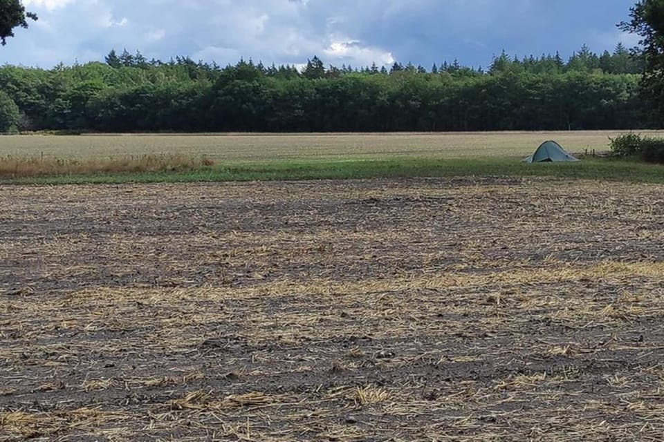 Region [summer] (>5 km)
