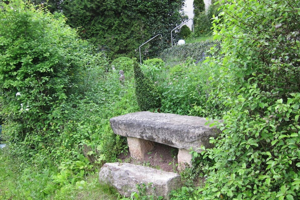 Garden [summer]