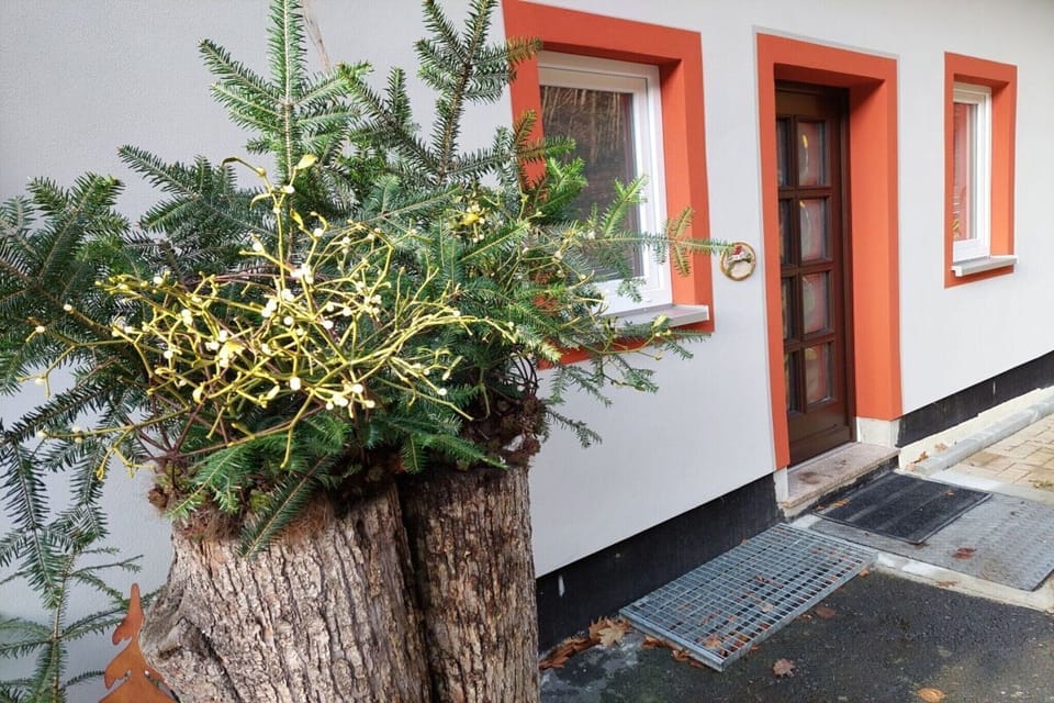Entrance / Reception