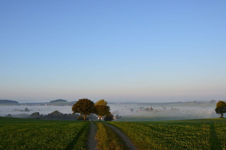 Surroundings [summer] (1-5 km)
