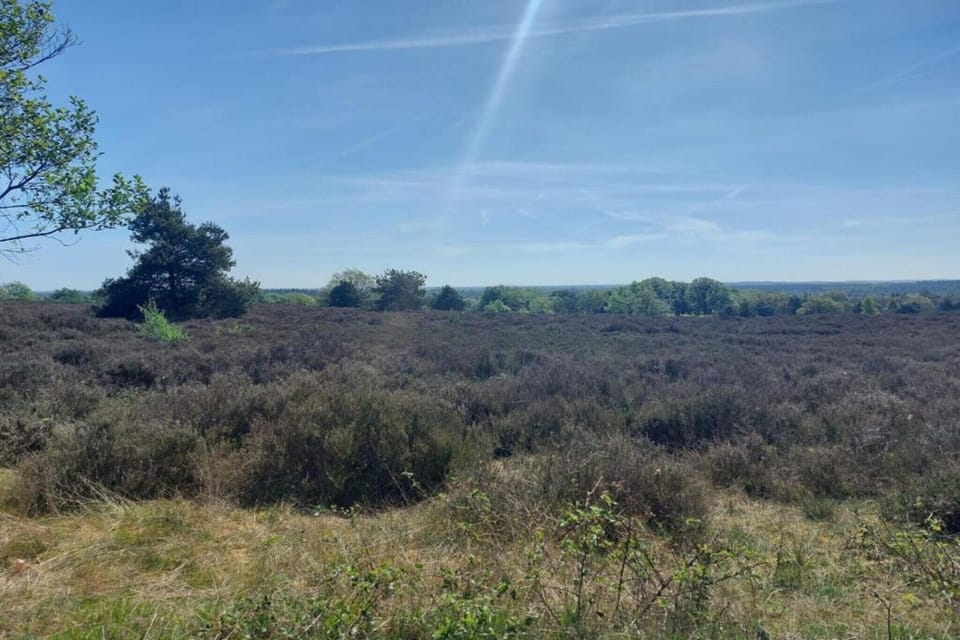 Surroundings [summer] (1-5 km)