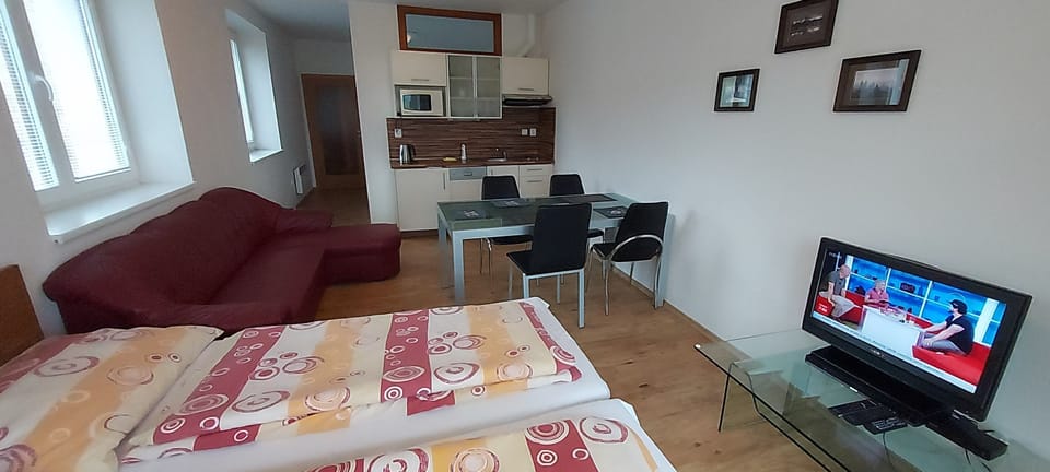 Classic Apartment, Lake View | Desk, cribs/infant beds, free WiFi, bed sheets
