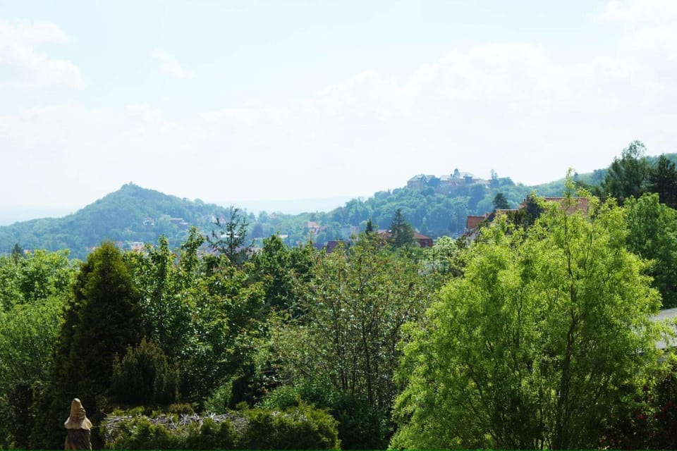 View from Holiday Home [summer]