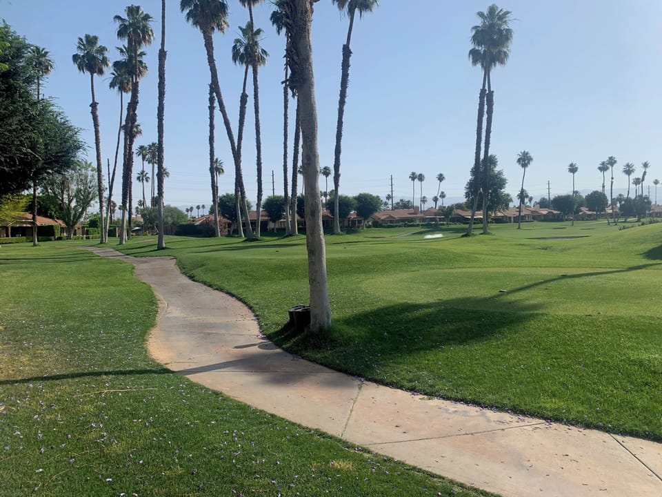 View from your patio 