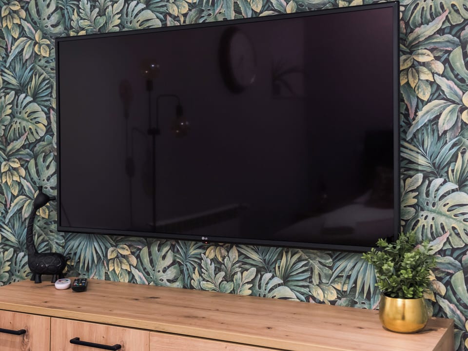 Television