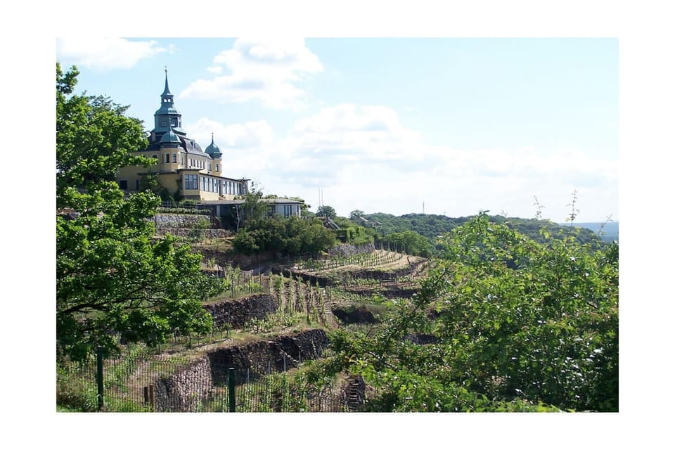 Immediate Surroundings [summer] (<1 km)