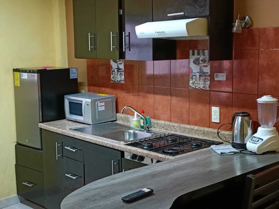 Family Studio Suite, Patio, City View | Private kitchen | Electric kettle, cookware/dishes/utensils