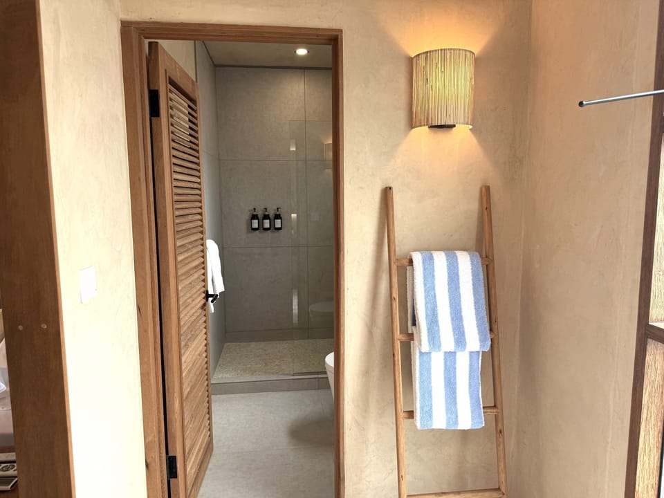 Shower, rainfall showerhead, hair dryer, electronic bidet