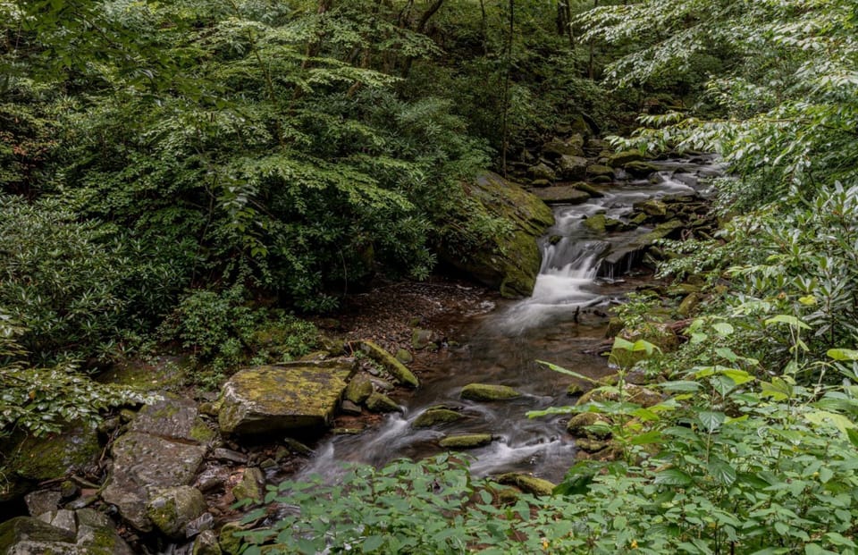 Creek