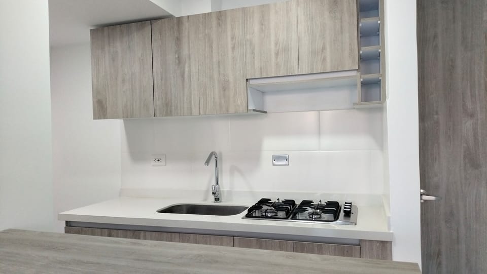 Basic Apartment, Balcony | Private kitchen | Coffee/tea maker, blender, griddle, cleaning supplies