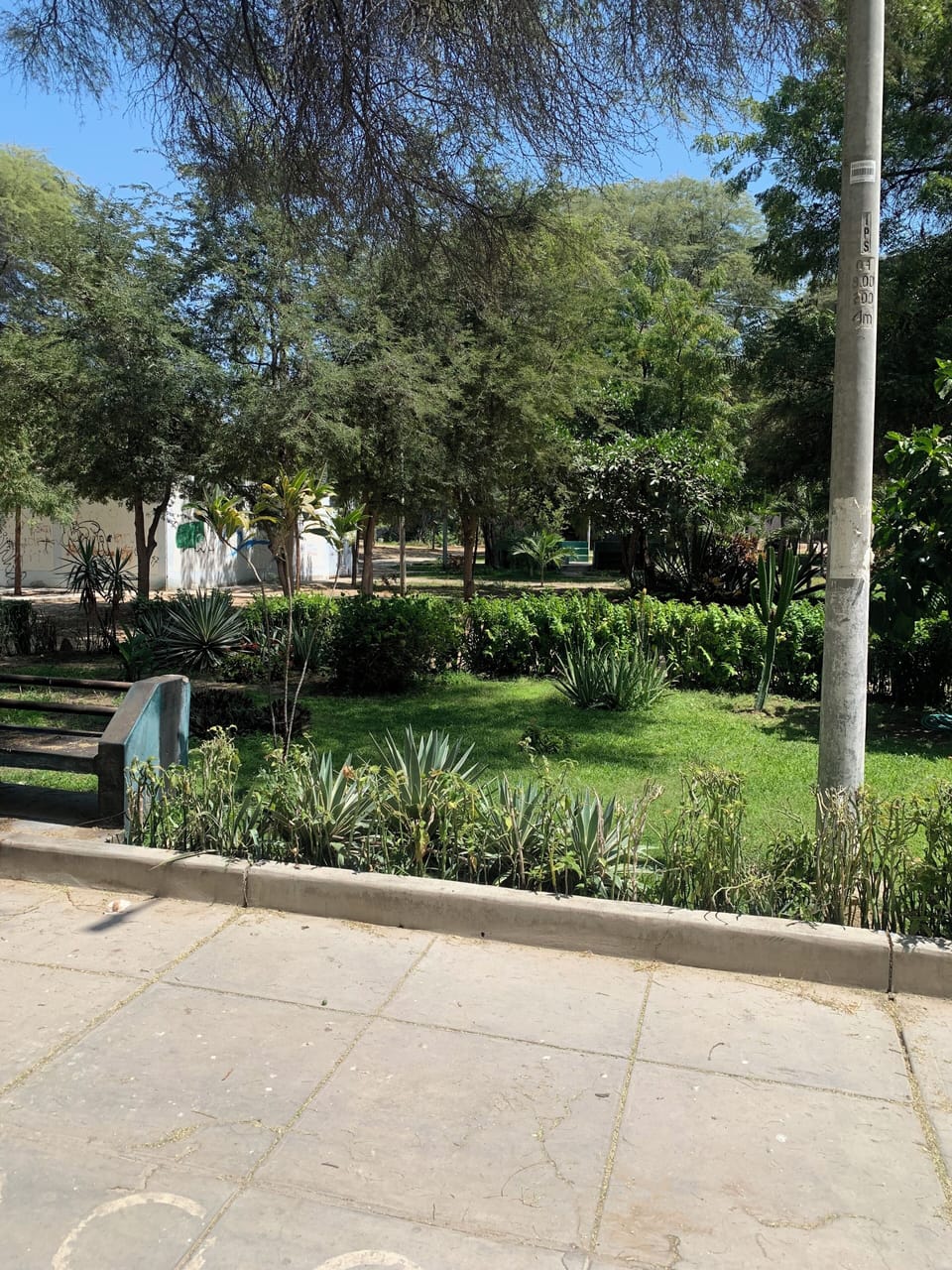 Property grounds