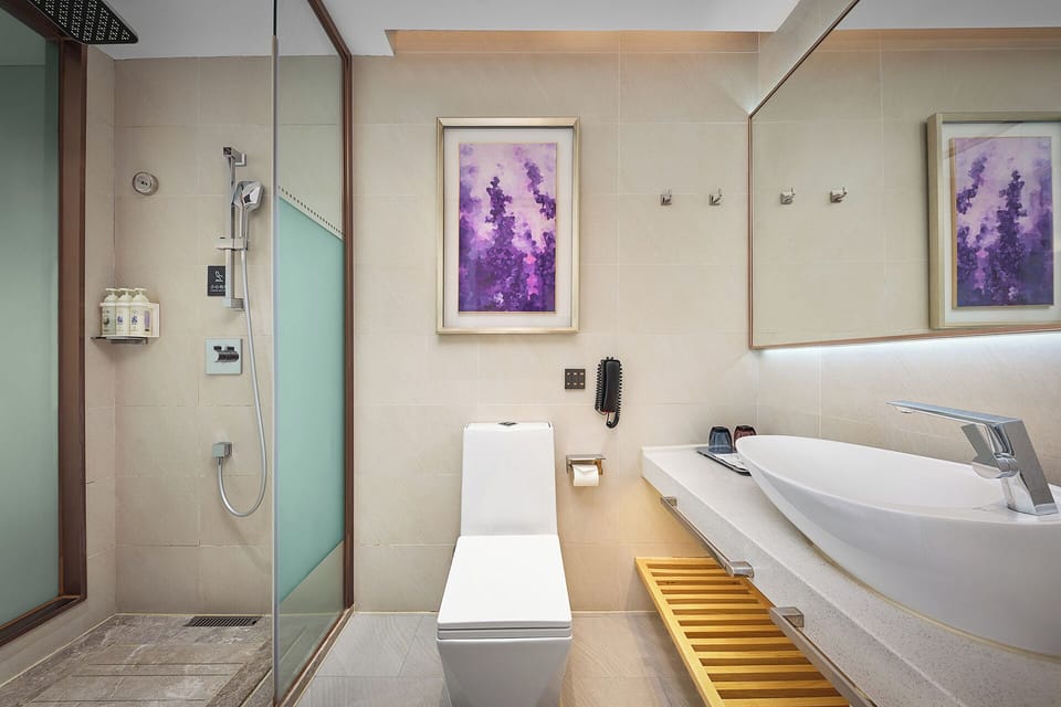 Shower, free toiletries, hair dryer, slippers