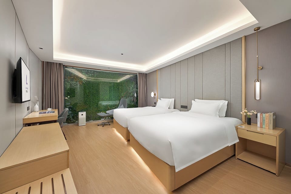 Superior Twin Room, No Windows | View from room