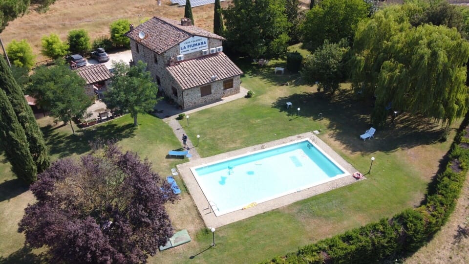 Swimming Pool, Estate, Farmhouse, Hacienda, Lawn, Yard, Backyard, Villa