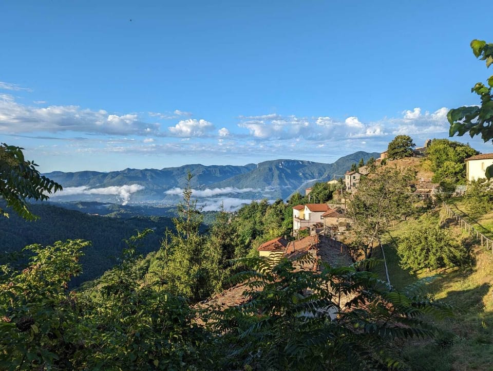 View from the front garden