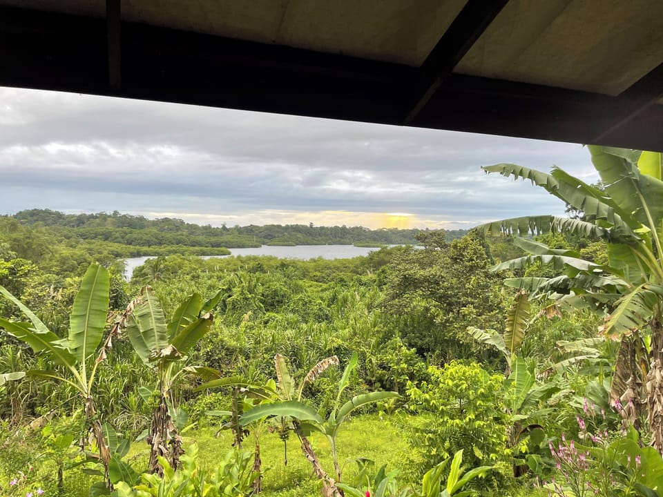 View from property