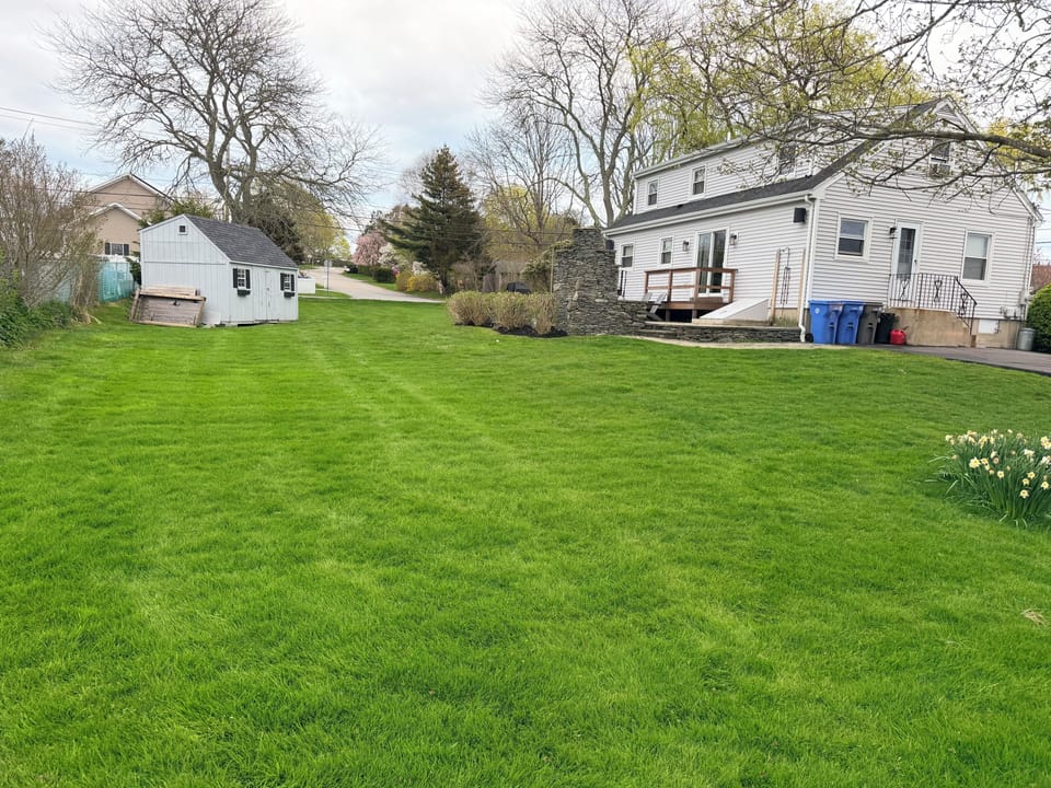 Large backyard