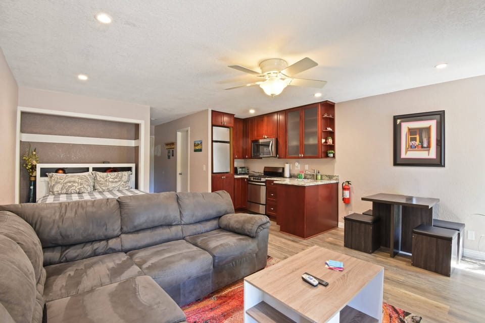 Studio living room with Smart TV, gas fireplace, dining area and murphy bed