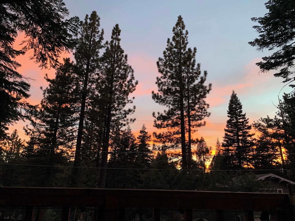 Evening views