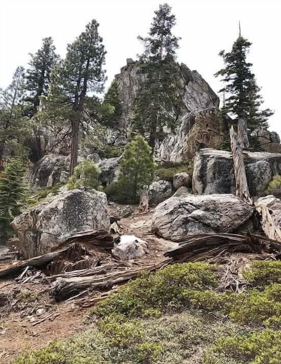 Tahoe boulders