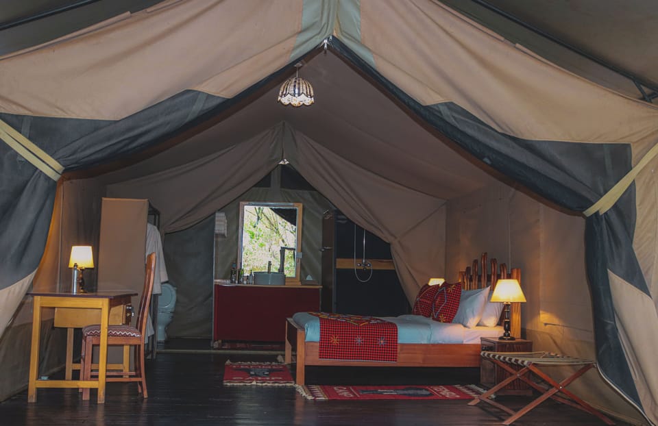 Standard Tent | Terrace/patio