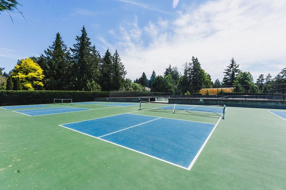 Sport court