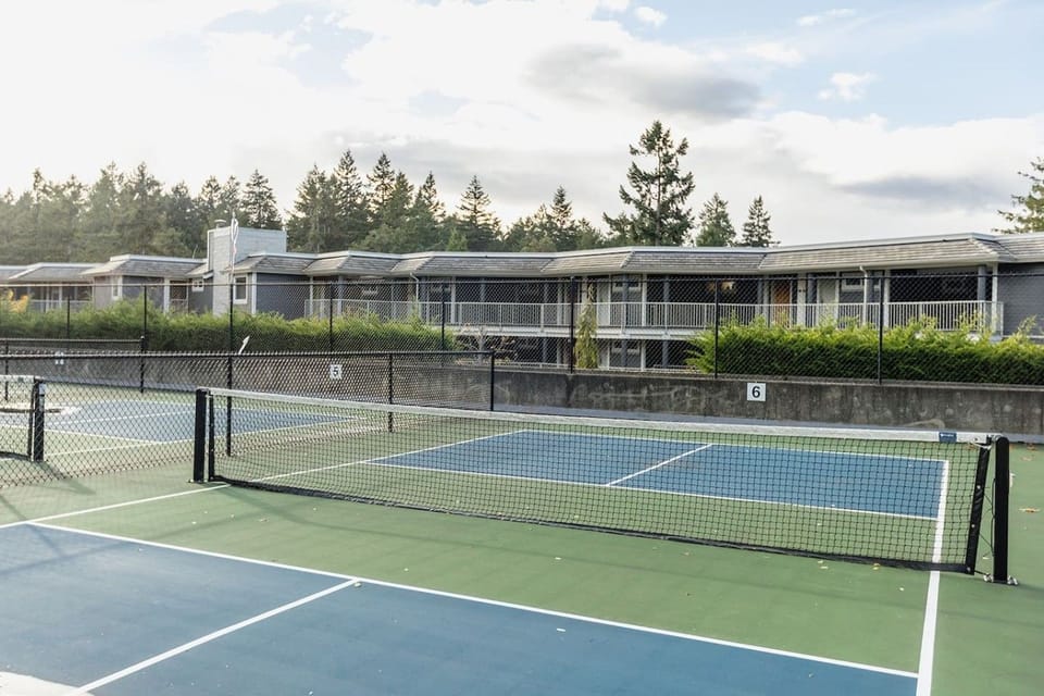 Sport court