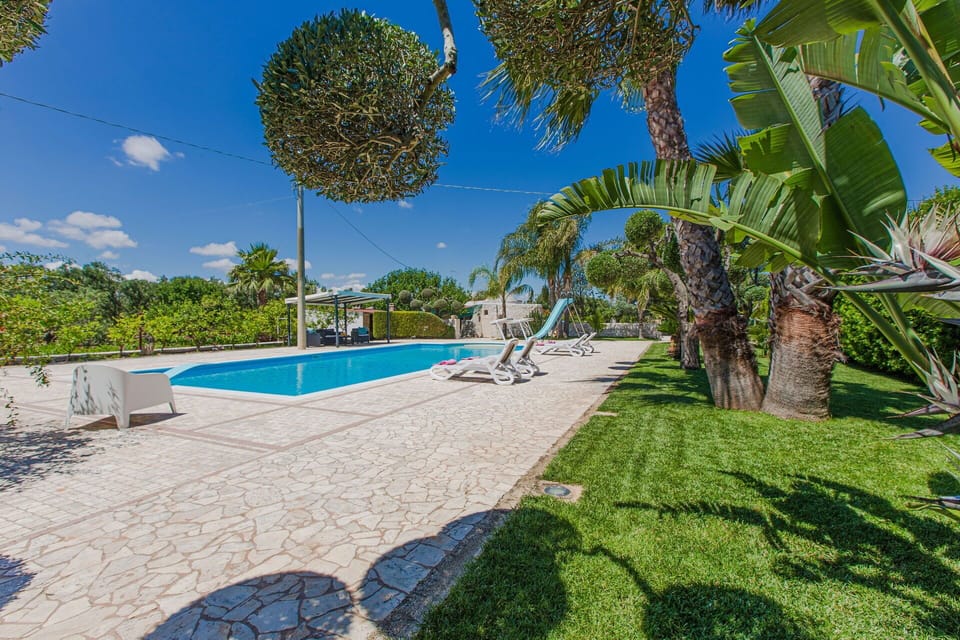 Blue, Tree, Shade, Resort, Swimming Pool, Landscaping, Eco Hotel, Estate, Hacienda