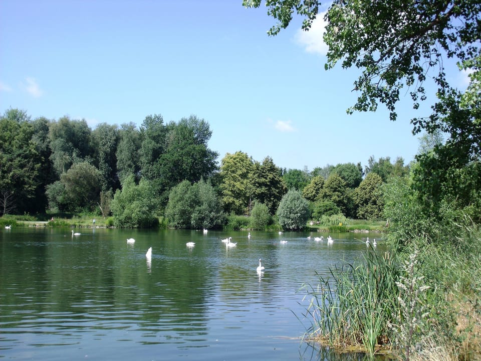 Land view from property