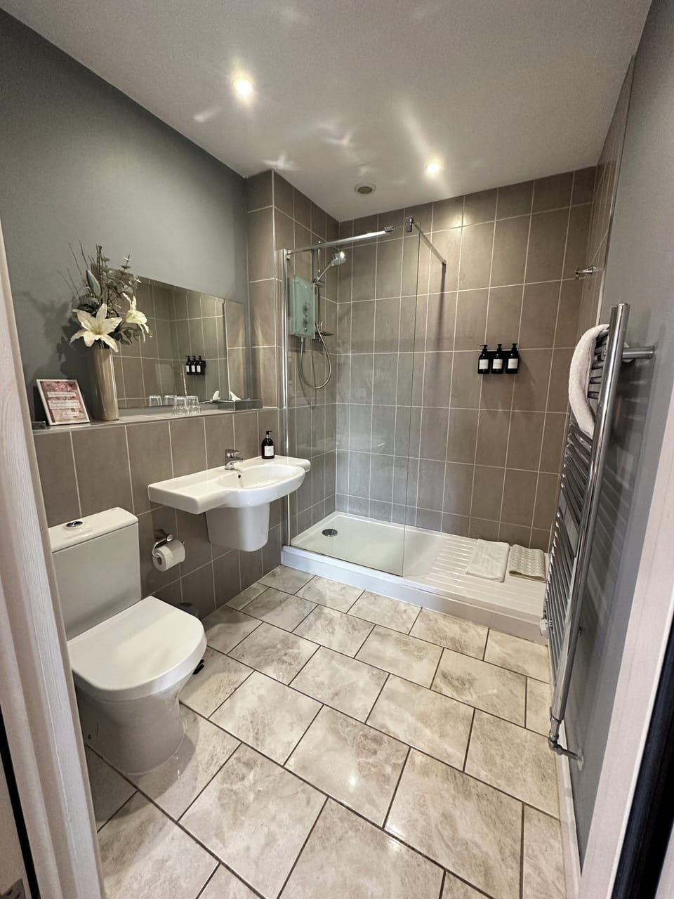 Premium Room, 1 King Bed | Bathroom | Shower, free toiletries, hair dryer, towels