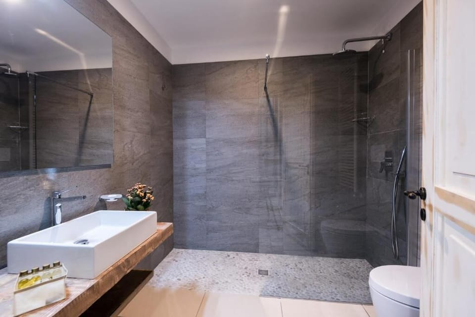 Deluxe Studio Suite, 1 Queen Bed with Sofa bed | Bathroom | Shower, hair dryer, slippers, bidet