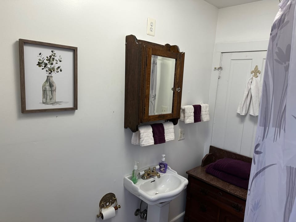 Deluxe Studio Suite | Bathroom | Free toiletries, hair dryer, soap, shampoo