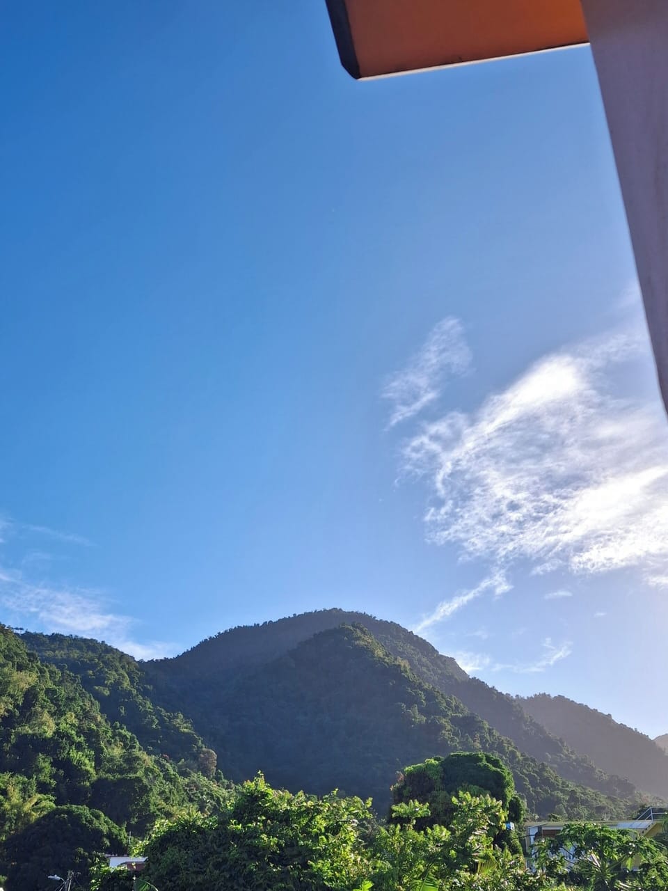 View from property