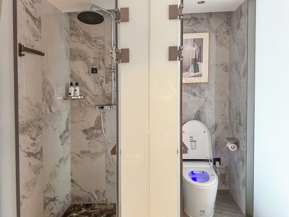 Business Double Room Single Use, City View | Bathroom | Shower, hair dryer, towels, shampoo