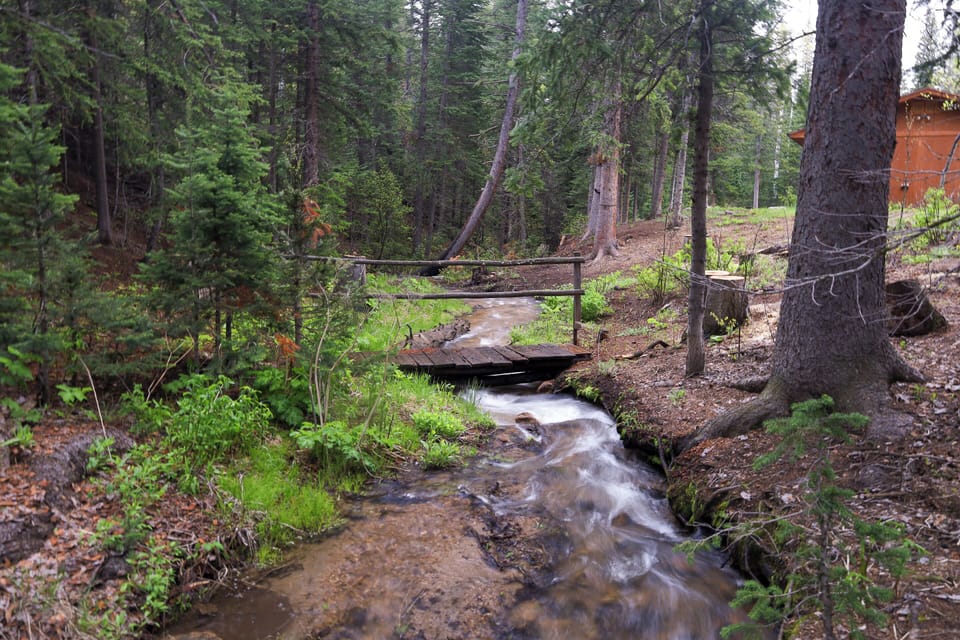 Enjoy a peaceful, private creek right behind the house!