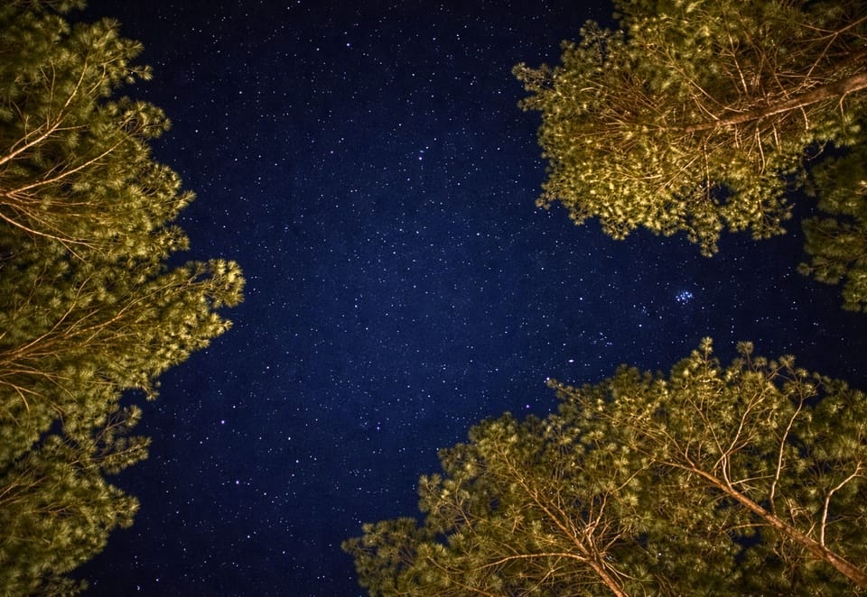 Marvel at the night sky and enjoy breathtaking stargazing views